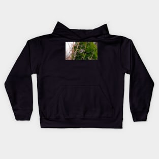 Dark-eyed Junco Perched On A Small Branch Kids Hoodie